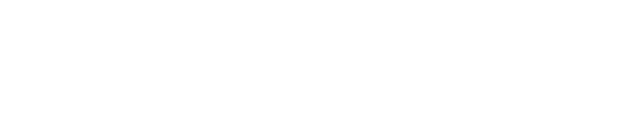 Devise Logo